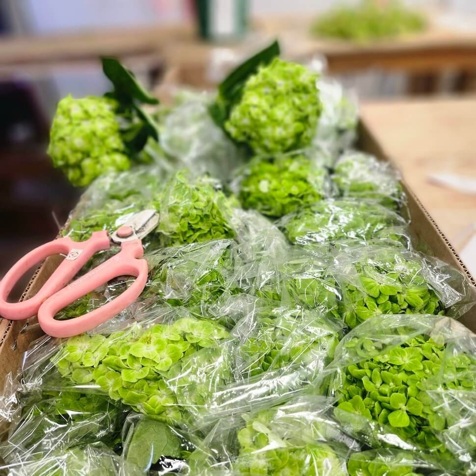 Vessel gridding technique